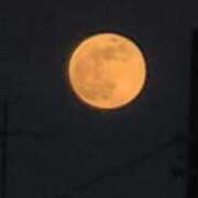 ヒメ日記 2026/01/03 23:23 投稿 ライム ダイスキ