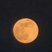 ヒメ日記 2026/02/02 21:50 投稿 ライム ダイスキ