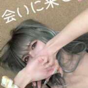 ヒメ日記 2026/02/25 07:01 投稿 ライム ダイスキ