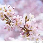 ヒメ日記 2026/03/05 21:11 投稿 ライム ダイスキ