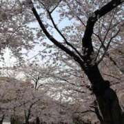 ヒメ日記 2026/04/03 07:46 投稿 ライム ダイスキ