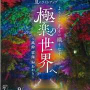 ヒメ日記 2026/08/20 09:21 投稿 ライム ダイスキ