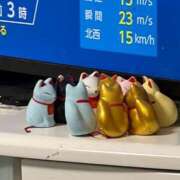 ヒメ日記 2026/09/15 07:03 投稿 ライム ダイスキ