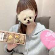 ヒメ日記 2025/05/08 11:23 投稿 えみり コンカフェ×オナクラ あいこねくと