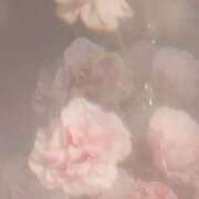 ヒメ日記 2025/05/15 13:08 投稿 えみり コンカフェ×オナクラ あいこねくと