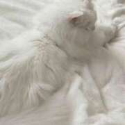 ヒメ日記 2025/08/07 18:53 投稿 えみり コンカフェ×オナクラ あいこねくと