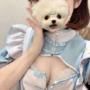 ヒメ日記 2025/11/22 18:06 投稿 えみり コンカフェ×オナクラ あいこねくと