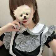 ヒメ日記 2025/12/18 14:20 投稿 えみり コンカフェ×オナクラ あいこねくと