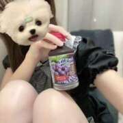 ヒメ日記 2026/01/19 20:44 投稿 えみり コンカフェ×オナクラ あいこねくと