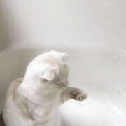 えみり 2/2 💌💭 コンカフェ×オナクラ あいこねくと