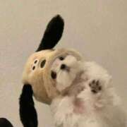 ヒメ日記 2026/03/05 21:45 投稿 えみり コンカフェ×オナクラ あいこねくと