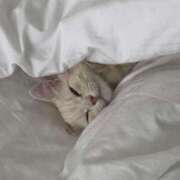 ヒメ日記 2026/03/08 11:17 投稿 えみり コンカフェ×オナクラ あいこねくと