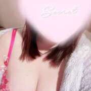 ヒメ日記 2025/11/02 15:30 投稿 みい シークレットタッチ