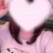 ヒメ日記 2026/02/03 17:45 投稿 みい シークレットタッチ