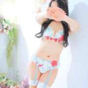 ヒメ日記 2025/11/16 08:00 投稿 つばき ドンファン