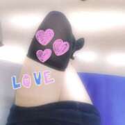 ヒメ日記 2025/06/01 00:07 投稿 吉田 変態美熟女お貸しします。