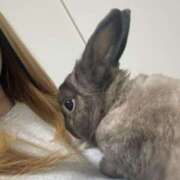 ヒメ日記 2025/11/11 22:52 投稿 かなた【FG系列】 フィーリングin横浜