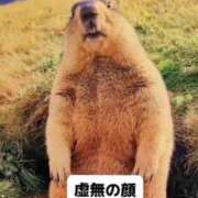 ヒメ日記 2025/10/29 15:31 投稿 りいな ホワイトハウス