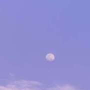 ヒメ日記 2025/03/23 23:55 投稿 しえる コスパラ