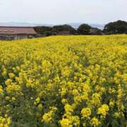 ヒメ日記 2026/03/17 10:36 投稿 『　妃菜・ひな　』♡E Fancy～ファンシー～