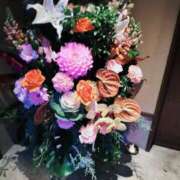 ヒメ日記 2025/01/01 23:42 投稿 牧和泉 五十路マダムエクスプレス横浜店（カサブランカグループ）