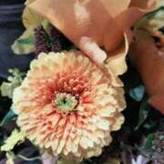 ヒメ日記 2025/01/22 15:46 投稿 牧和泉 五十路マダムエクスプレス横浜店（カサブランカグループ）