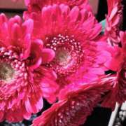 ヒメ日記 2025/02/09 10:02 投稿 牧和泉 五十路マダムエクスプレス横浜店（カサブランカグループ）