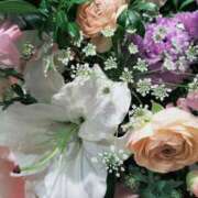 ヒメ日記 2025/03/23 08:08 投稿 牧和泉 五十路マダムエクスプレス横浜店（カサブランカグループ）