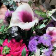 牧和泉 雨ですね 五十路マダムエクスプレス横浜店（カサブランカグループ）