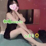 ヒメ日記 2025/02/13 07:59 投稿 ひまり 新橋Sweets（スウィーツ）