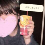 ヒメ日記 2024/12/12 18:13 投稿 ちづる ぽっちゃり巨乳素人専門横浜関内伊勢佐木町ちゃんこ