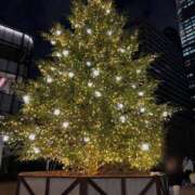 ヒメ日記 2024/12/21 21:36 投稿 智美 昼顔妻 五反田店