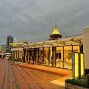 ヒメ日記 2025/01/11 19:46 投稿 智美 昼顔妻 五反田店