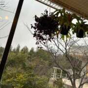 ヒメ日記 2025/02/26 23:06 投稿 智美 昼顔妻 五反田店