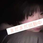 ヒメ日記 2025/01/17 17:13 投稿 ちづる 新横浜ちゃんこ