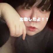 ヒメ日記 2025/02/14 12:04 投稿 ちづる 新横浜ちゃんこ