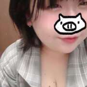 ヒメ日記 2025/03/16 15:13 投稿 ちづる 新横浜ちゃんこ