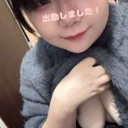 ヒメ日記 2025/04/03 12:03 投稿 ちづる 新横浜ちゃんこ