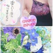 ちほ プププ 国分寺人妻研究会