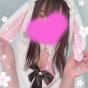 ヒメ日記 2026/03/17 11:21 投稿 るり マツタケヒロシ