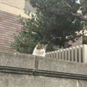 ヒメ日記 2024/12/18 20:58 投稿 ひなた セータームーン