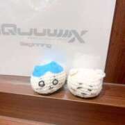 ヒメ日記 2025/02/06 19:25 投稿 みれい ミラー