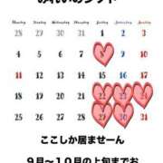 ヒメ日記 2025/08/07 17:11 投稿 みれい ミラー