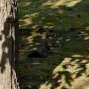 ヒメ日記 2025/11/05 11:48 投稿 あん 熟女の風俗最終章 八王子店