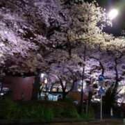 ヒメ日記 2025/04/07 22:43 投稿 あん 熟女の風俗最終章 所沢店