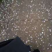 ヒメ日記 2025/04/14 23:25 投稿 あん 熟女の風俗最終章 所沢店