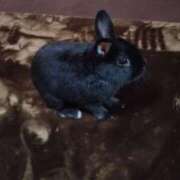 ヒメ日記 2026/01/26 10:17 投稿 あん 熟女の風俗最終章 立川店