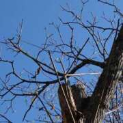 ヒメ日記 2026/01/31 18:13 投稿 あん 熟女の風俗最終章 立川店