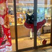 ヒメ日記 2024/12/21 17:16 投稿 湯川 真菜 人妻セレブ宮殿