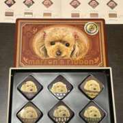 ヒメ日記 2025/02/09 06:06 投稿 湯川 真菜 人妻セレブ宮殿